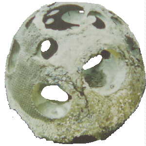 Photo Of Textured Bay Ball