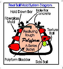 Diagram of Reef Ball Mold System