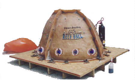 Photo of Set Up Reef Ball Mold